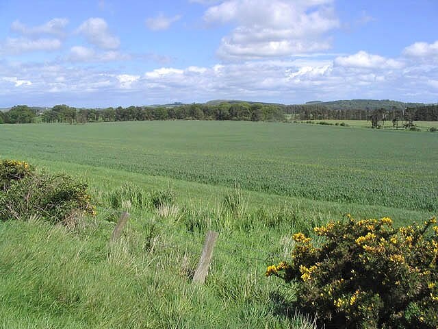 Ảnh "Hedgeley" của Walter Baxter (CC BY-SA) / Cắt từ ảnh gốc