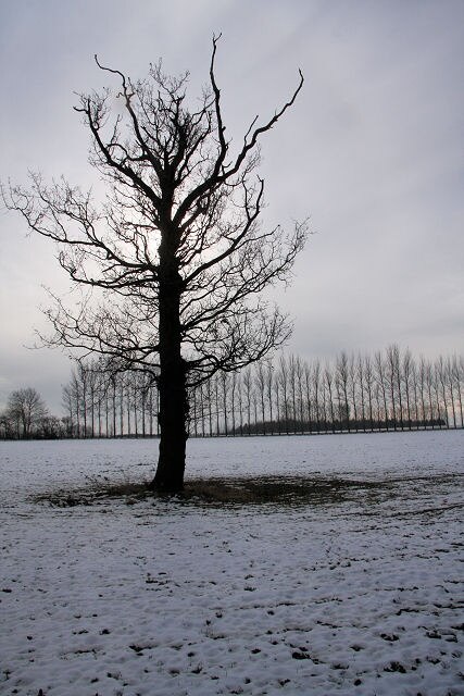 Foto “Stradishall” tomada por Bob Jones (CC BY-SA); recorte de la original