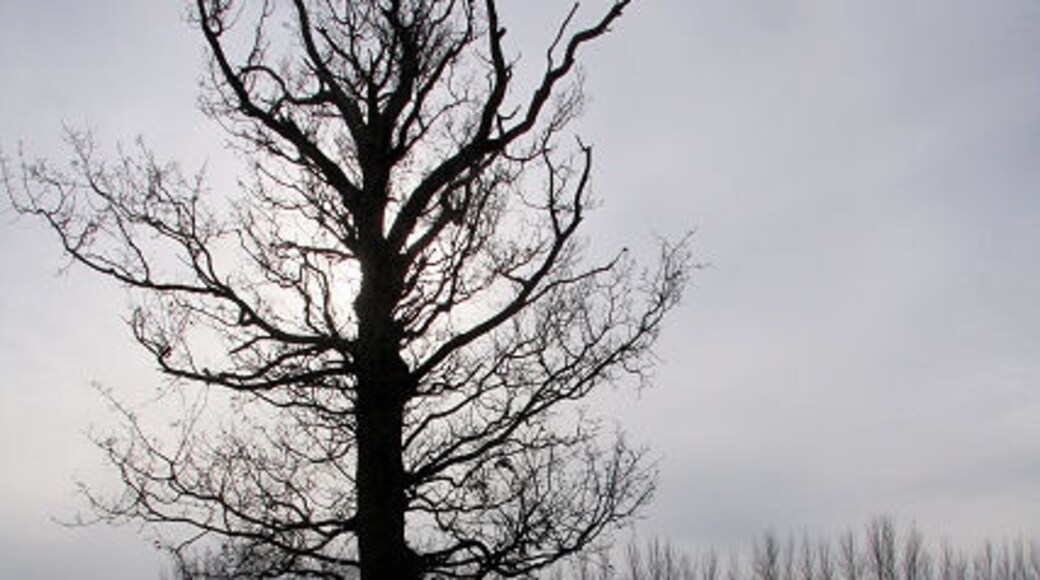 Photo "Stradishall" by Bob Jones (CC BY-SA) / Cropped from original