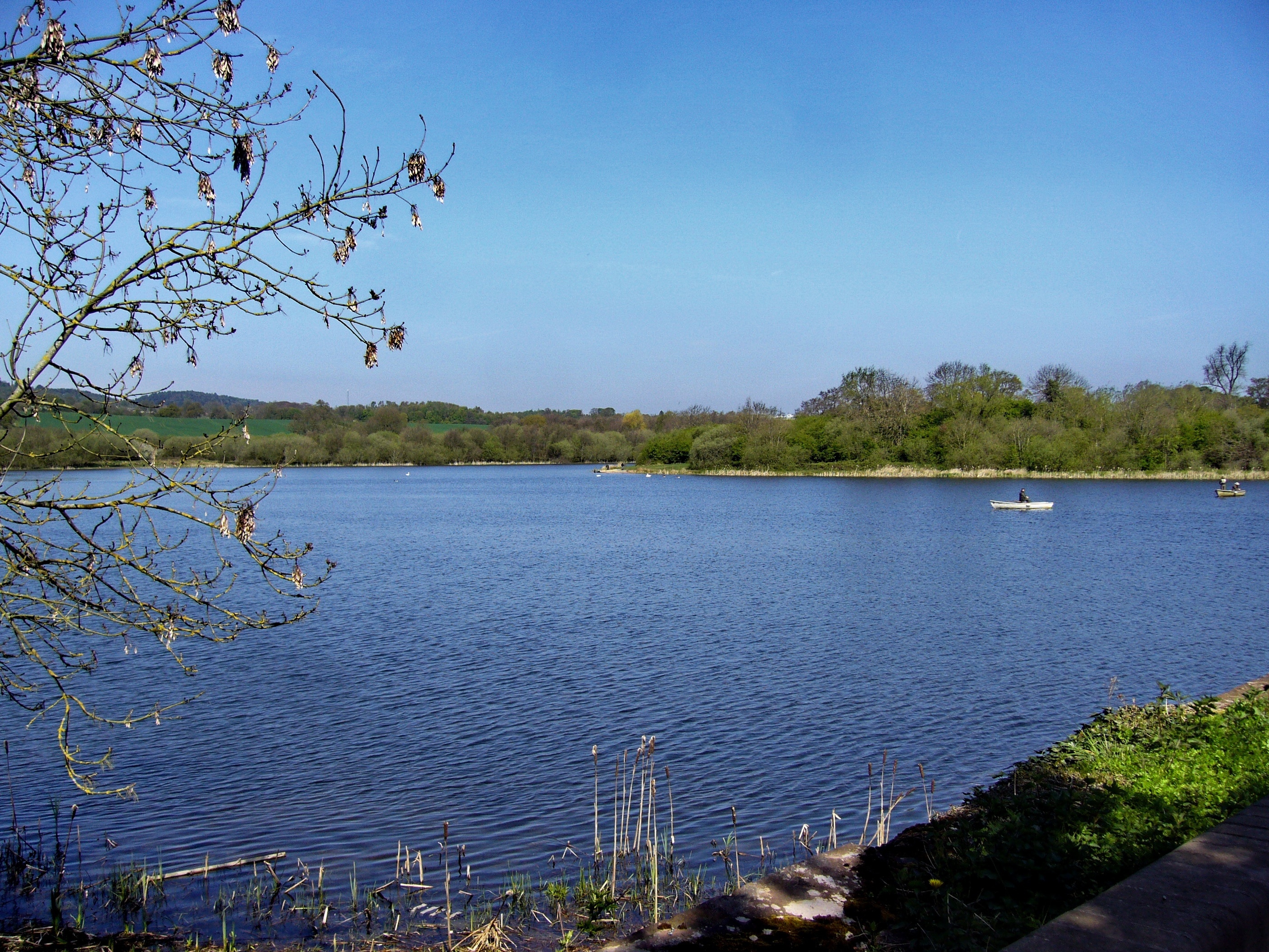 Photo "Barnt Green" by Tanya Dedyukhina (CC BY) / Cropped from original