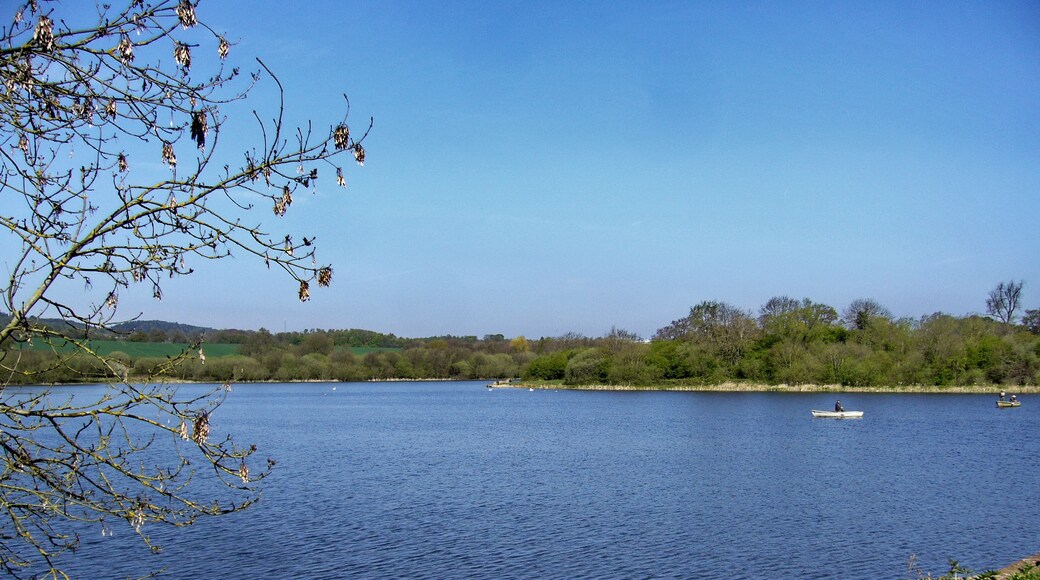 Photo "Barnt Green" by Tanya Dedyukhina (CC BY) / Cropped from original