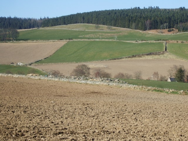 View north from 'The Neuk' To Learney Woods, from the fourteenth tee on Torphins Golf Course.