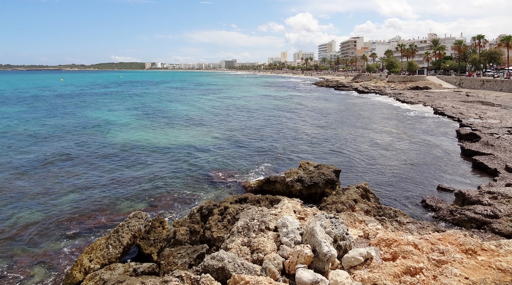 "Playa Cala Millor"-foto av Oltau (CC BY) / Urklipp från original