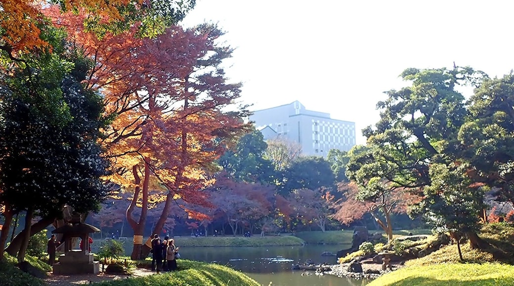 autumn colours of leaves at Koishikawa Kourakuen
