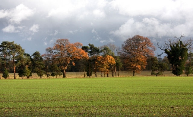 Foto „Rushbrooke mit Rougham“ von Bob Jones (CC BY-SA)/zugeschnittenes Original