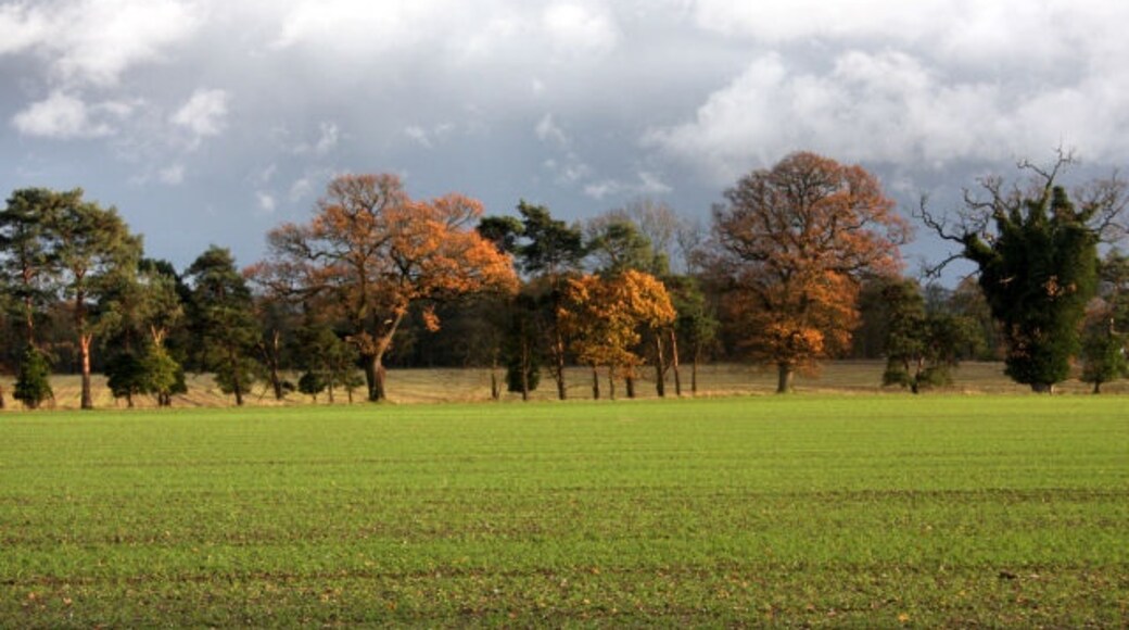 Foto „Rushbrooke mit Rougham“ von Bob Jones (CC BY-SA)/zugeschnittenes Original