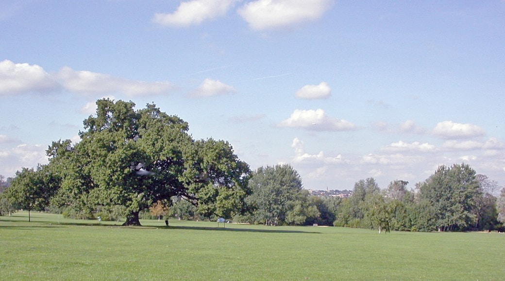 "Raynes Park"-foto av Ben Brooksbank (CC BY-SA) / Urklipp från original