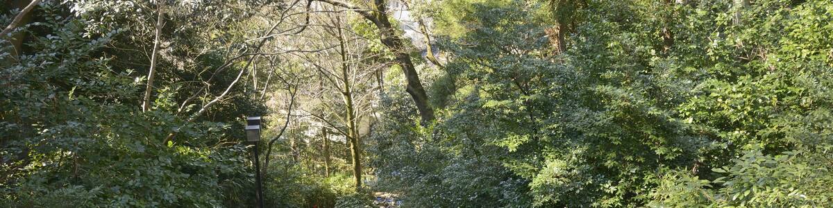 Photo "中村記念美術館裏" by 金沢市 (Creative Commons Attribution 2.1 jp) / Cropped from original