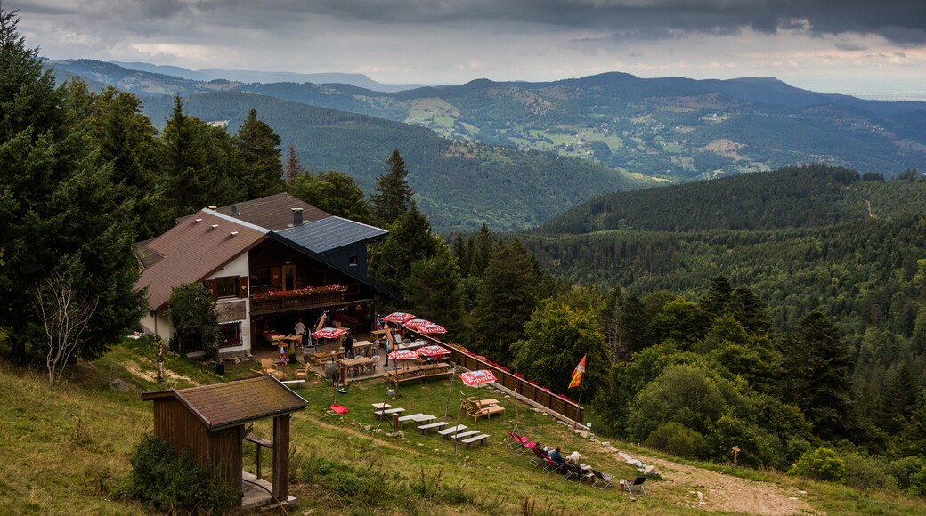 Photo "Le Gaschney Ski Resort" by Nicolas Torquet (CC BY-SA) / Cropped from original