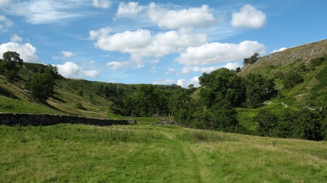 Photo "New Forest" by Gordon Hatton (CC BY-SA) / Cropped from original