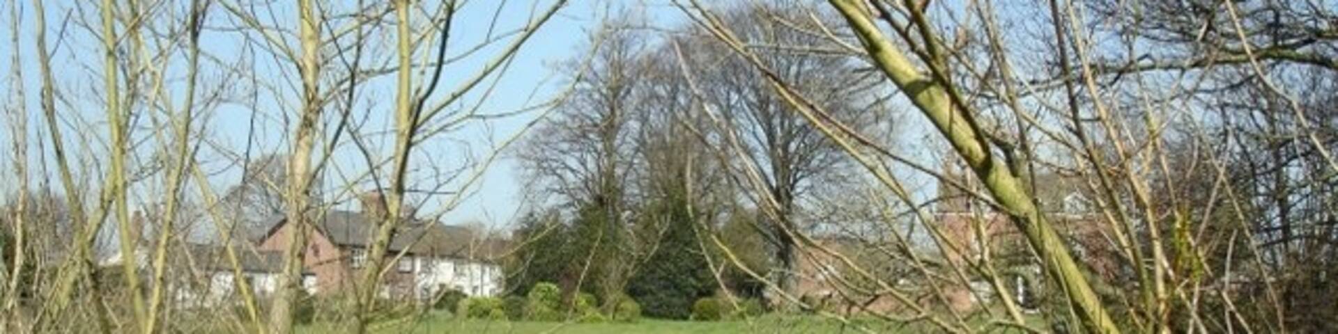 Pond at Pickmere Pond at corner of Park Lane and Frog Lane, Pickmere. Wallhill Farm in right background.
