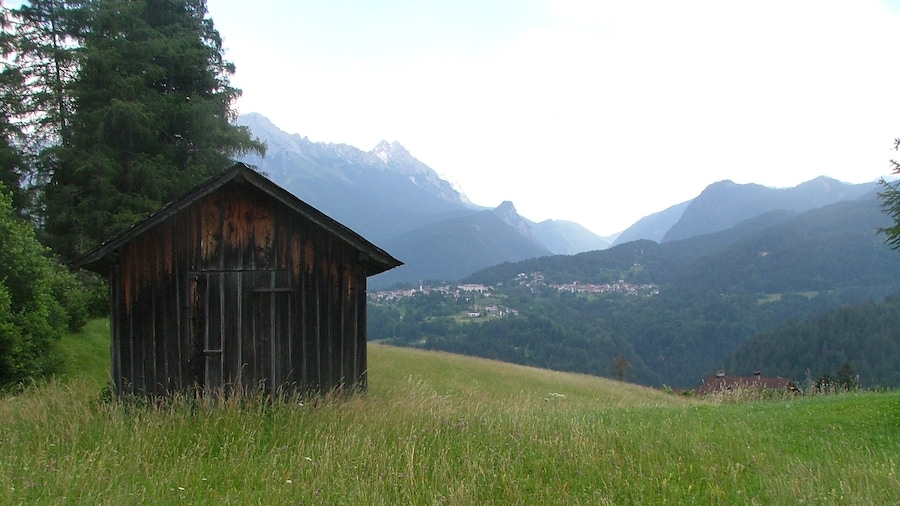 Photo "Fields in Domegge di Cadore, Province of Belluno,Dolomites Veneto, Italy" by Kufoleto (Creative Commons Attribution 2.5) / Cropped from original