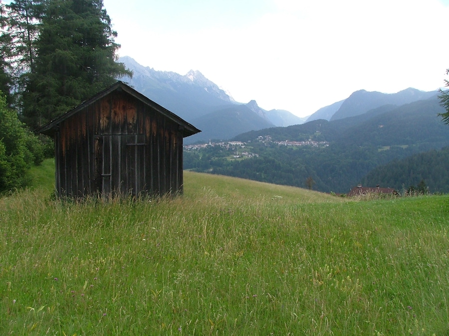 Fields in Domegge di Cadore, Province of Belluno,Dolomites Veneto, Italy