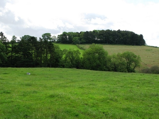 Pastures and woods near Chesterwood