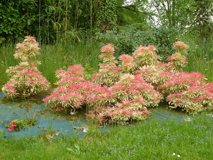 le parc de kermaria