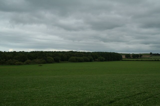 "Cockshutt"-foto av Geoff Evans (CC BY-SA) / Urklipp från original