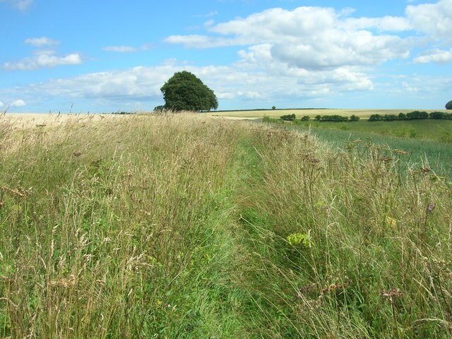 Bridleway near Fairy Dale, Wharram Percy, North Yorkshire, England.