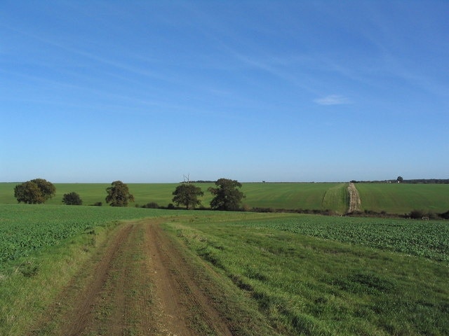 Foto “Blatherwycke” tomada por Tim Heaton (CC BY-SA); recorte de la original