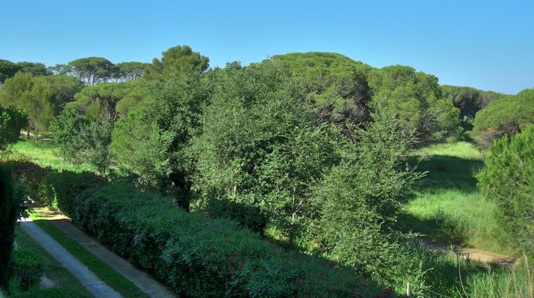 Photo "La Londe-les-Maures" by ComputerHotline (CC BY) / Cropped from original
