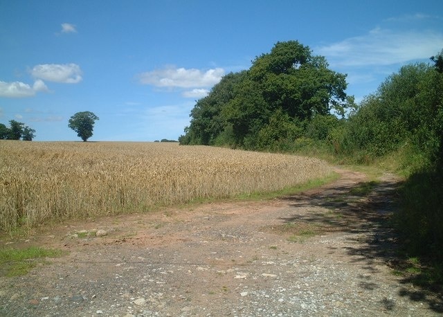 Footpath north from B4364