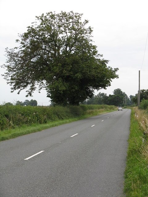 Foto “Kenswick” tomada por Whatlep (CC BY-SA); recorte de la original