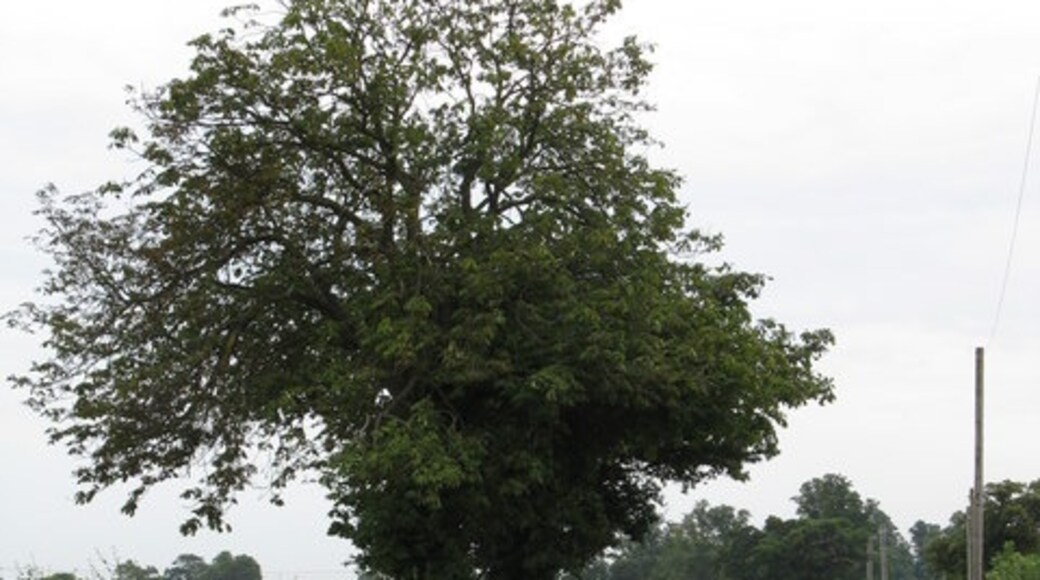 Foto “Kenswick” tomada por Whatlep (CC BY-SA); recorte de la original