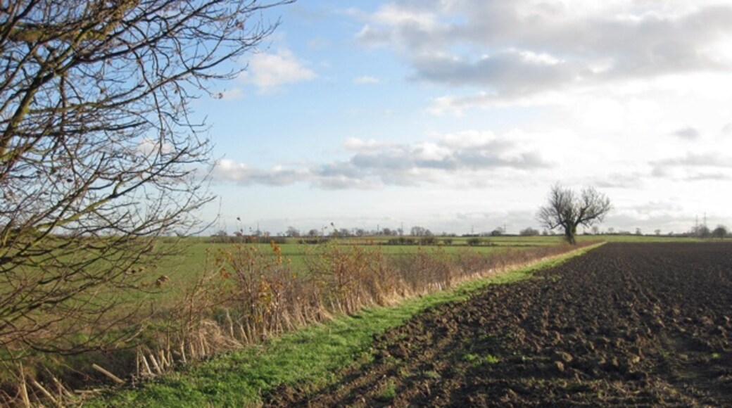 Foto "Thornton Curtis" por David Wright (CC BY-SA) / Recortada de la original