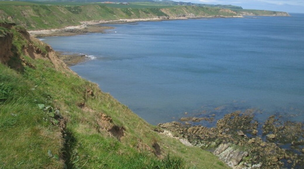 Photo "Newby and Scalby" by Allan Friswell (CC BY-SA) / Cropped from original