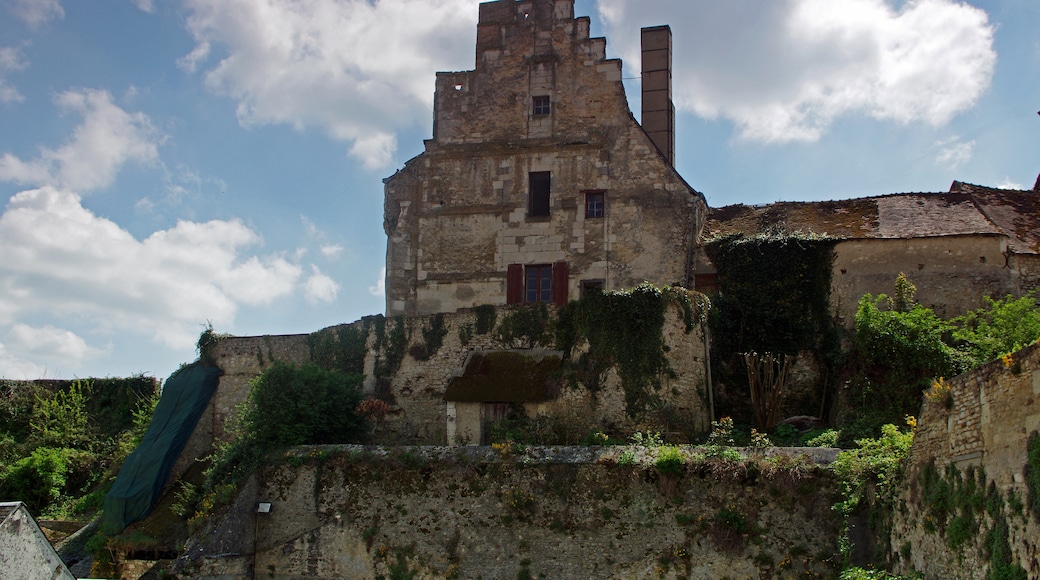 Photo "Chatillon-sur-Indre" by Daniel Jolivet (CC BY) / Cropped from original