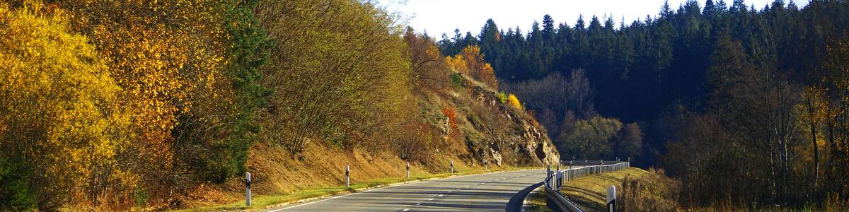 Photo "A Road" by Alexander Reuss (Creative Commons Attribution 3.0) / Cropped from original