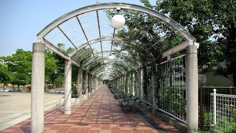 Photo "One-point perspective. Tennoji Park, Osaka, Japan." by undefined () / Cropped from original