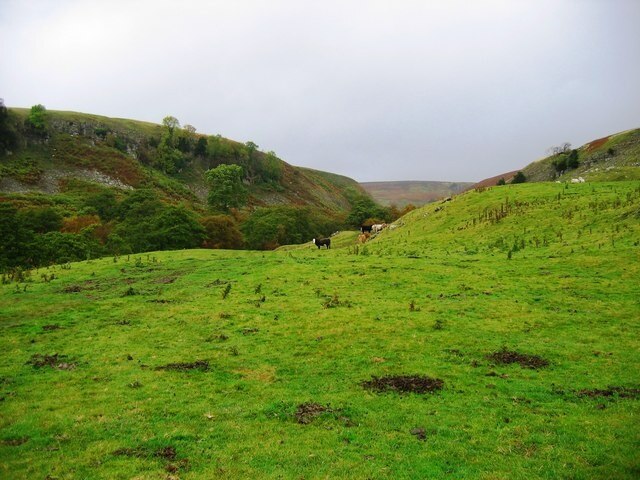 Photo "New Forest" by Graham Scarborough (CC BY-SA) / Cropped from original
