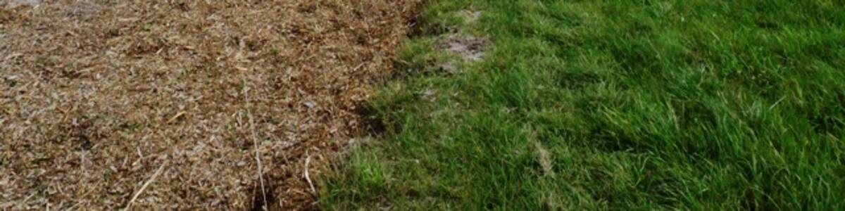 Photo "Kings Ride Therfield Heath is popular with walkers and golfers. But this part of the Heath alongside the A505 road is used for training race horses" by Mike W Hallett (Creative Commons Attribution-Share Alike 2.0) / Cropped from original