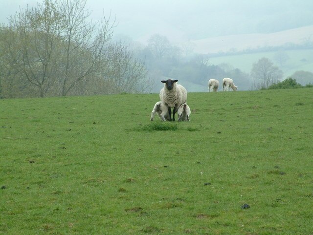 Foto „Combpyne Rousdon“ von Stuart Buchan (CC BY-SA)/zugeschnittenes Original