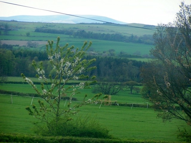 Townfoot. View to the east