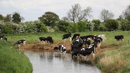 Foto „Fenton“ von Richard Croft (CC BY-SA)/zugeschnittenes Original