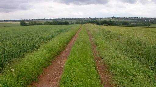 Kuva ”Cransley” käyttäjältä Ian Rob (CC BY-SA) / rajattu alkuperäisestä kuvasta