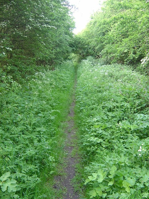 Bridleway near Parkgate This path follows the course of the stream in the bottom of the valley as an extension of Cinder Bridge Road, but appears never to have developed as a road