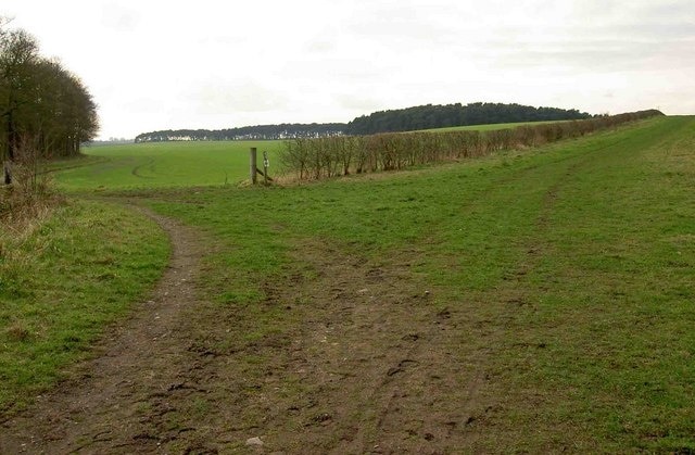 Parting of the ways Bridleway junction near East Thievesdale Wood.