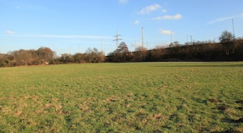 Hagen-Vorhalle: Blick vom namenlosen Wirtschaftsweg südwestlich des Hofs Niederste Hülsberg über eine Wiese in Richtung Nordosten, rechts der Bahndamm im Vorfeld des Rangierbahnhofs Vorhalle, ganz links im Hintergrund der Kaisberg; abgebildeter Bereich