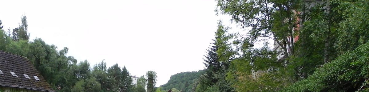Photo "Aubusson, Creuse, France" by Patrick Nouhailler's… (Creative Commons Attribution-Share Alike 3.0) / Cropped from original