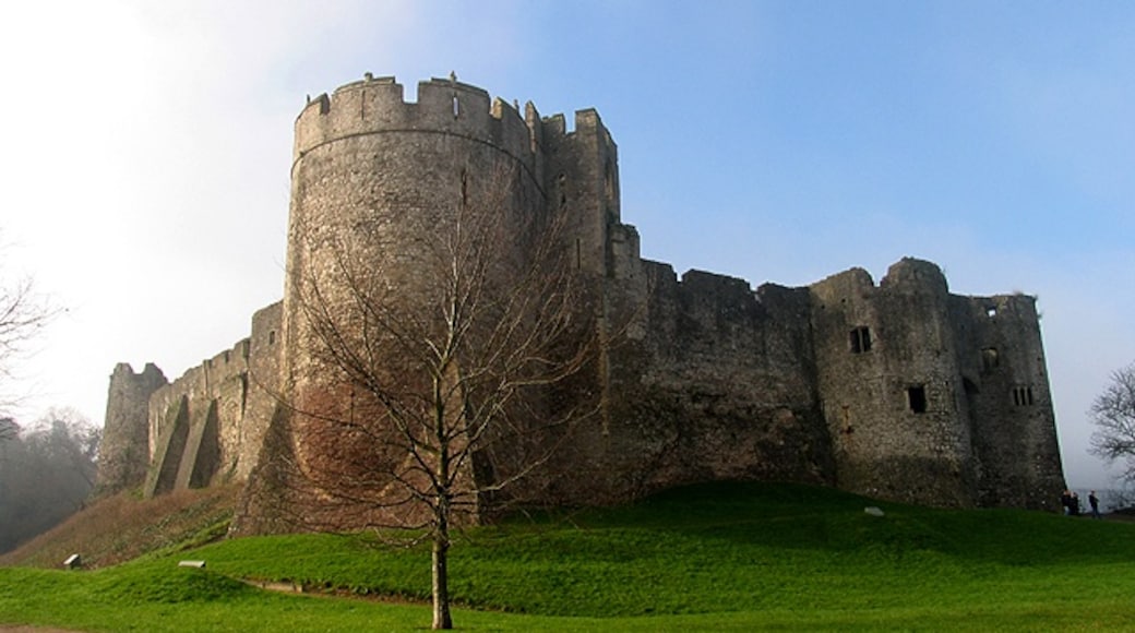 Photo "Chepstow Castle" by Pam Brophy (CC BY-SA) / Cropped from original