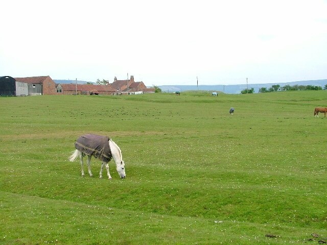 Photo "Newby" by Mick Garratt (CC BY-SA) / Cropped from original