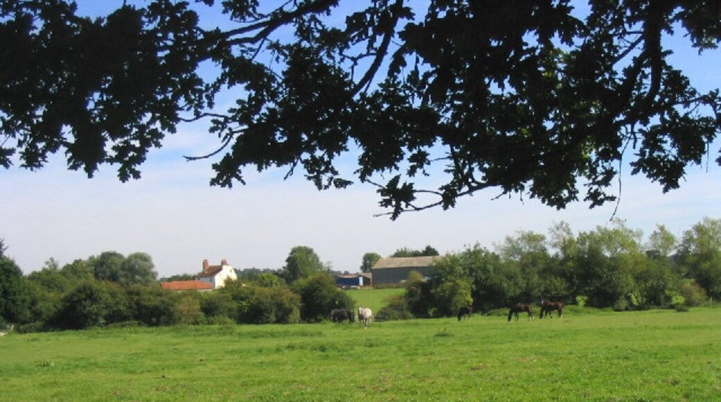 "Navestock"-foto av John Winfield (CC BY-SA) / Urklipp från original