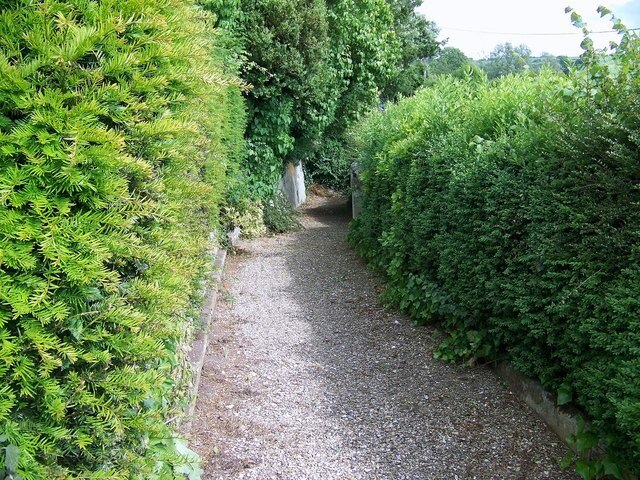 Path, St John the Baptist Church, Burcombe The path leads steeply down to the A30.