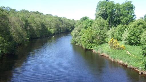 Photo "Bellingham" by Simon Johnston (CC BY-SA) / Cropped from original