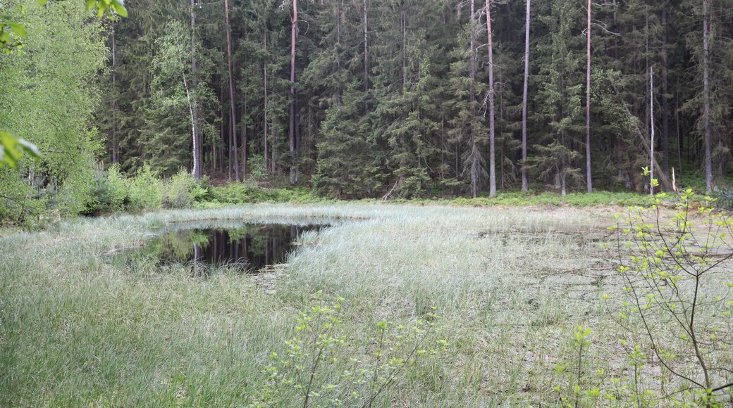 Photo "Lautertal" by Störfix (CC BY-SA) / Cropped from original