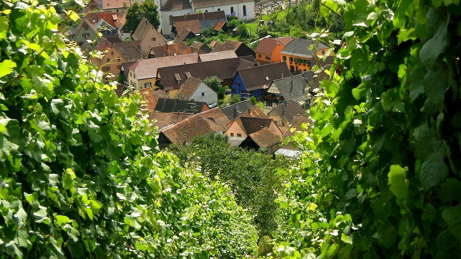 Photo "Albé, Bas-Rhin, Alsace, France." by Olivier (Creative Commons Attribution 2.0) / Cropped from original