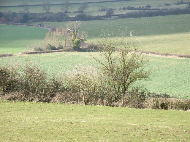 Foto "Wotton Underwood" por Andrew Smith (CC BY-SA) / Recortada de la original