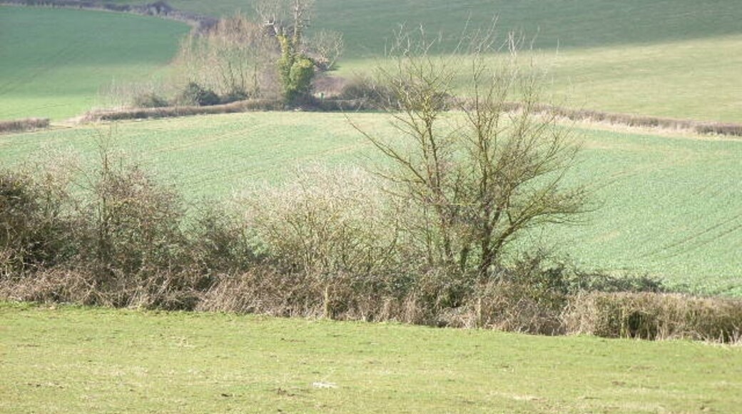 Foto "Wotton Underwood" por Andrew Smith (CC BY-SA) / Recortada de la original